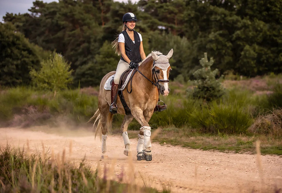helite-reitsport-einsteiger__PID:98ea380a-161f-4949-b051-c1c30e4078ab